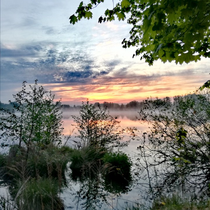 Morgenrot