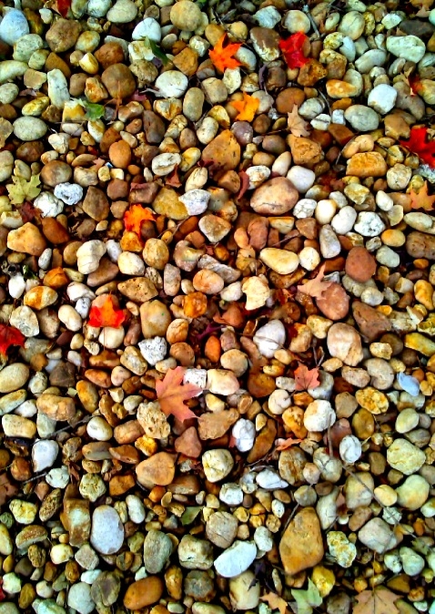 Sticks and Stones