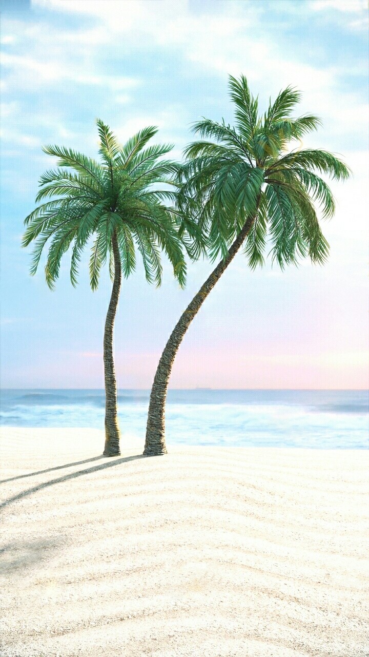 Palms