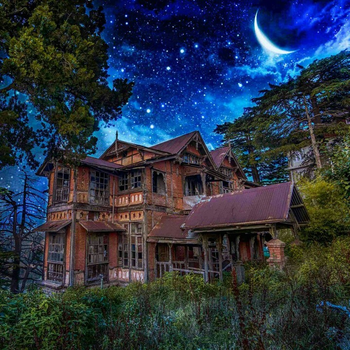 the night house