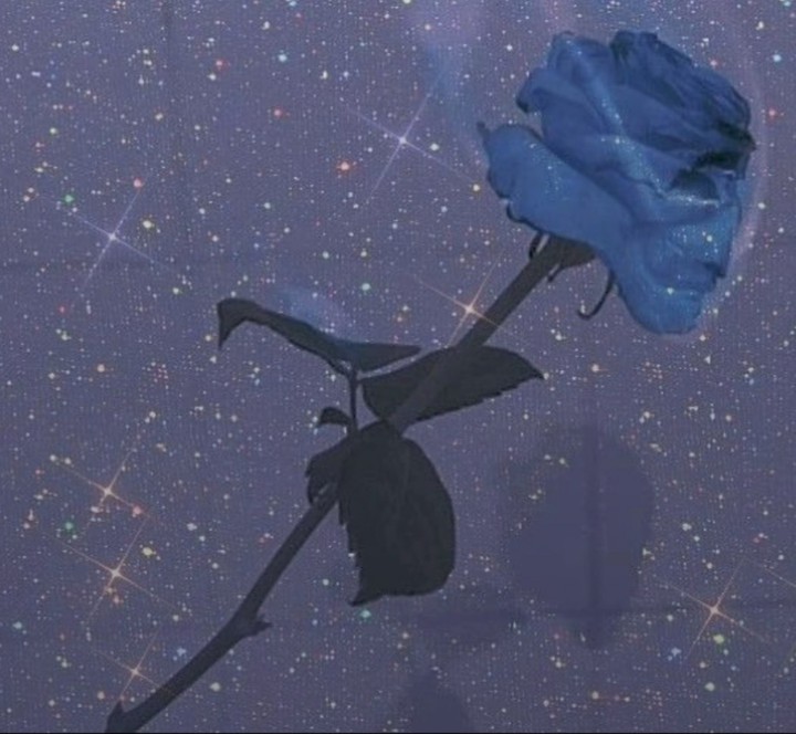 파란 꽃