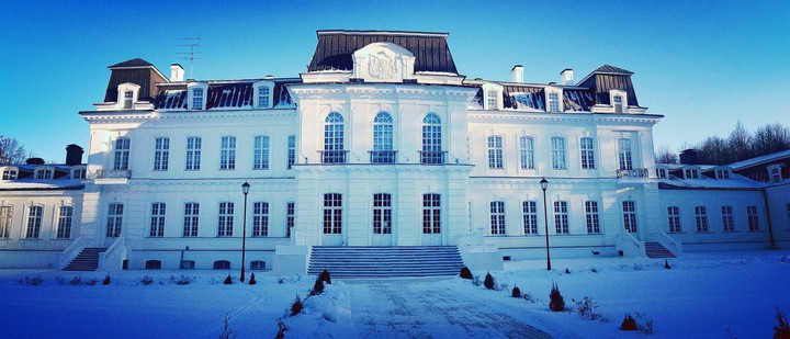 Homestead Voronovo (Moscow region)