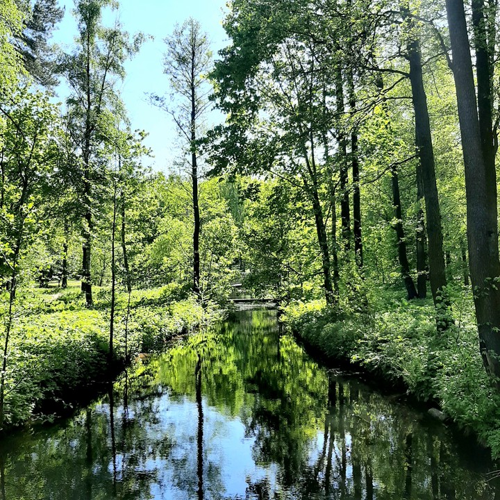 Peace