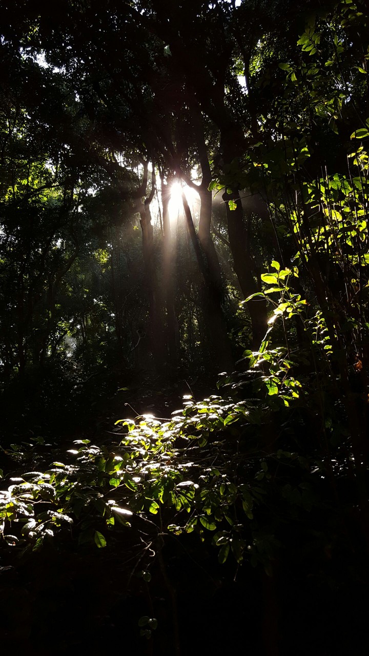 light on