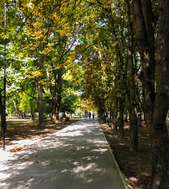 park
