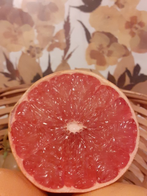 pompelmo