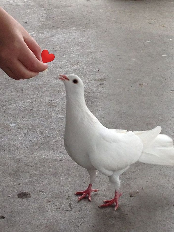 .
