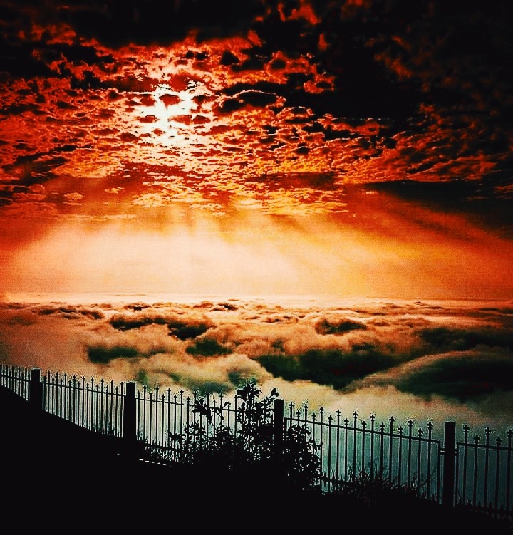 nature at its best