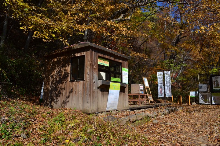 산이미지