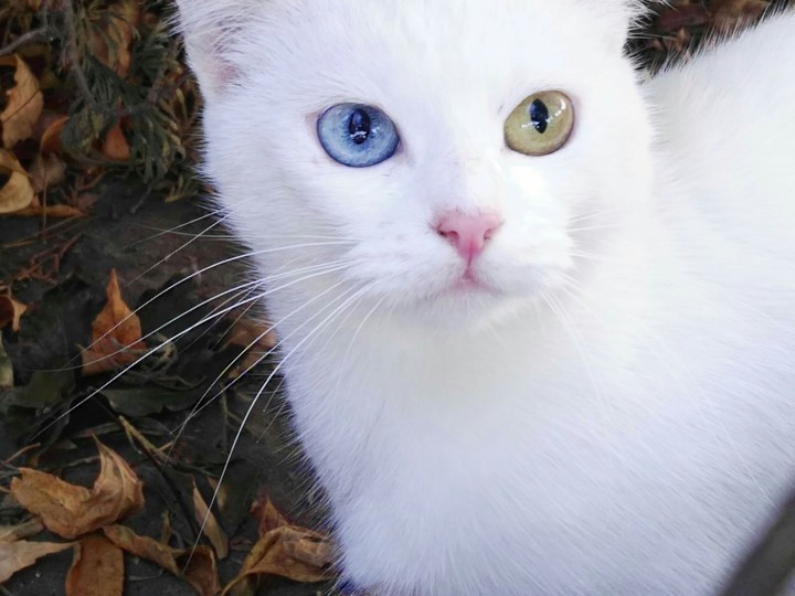 very cute :3