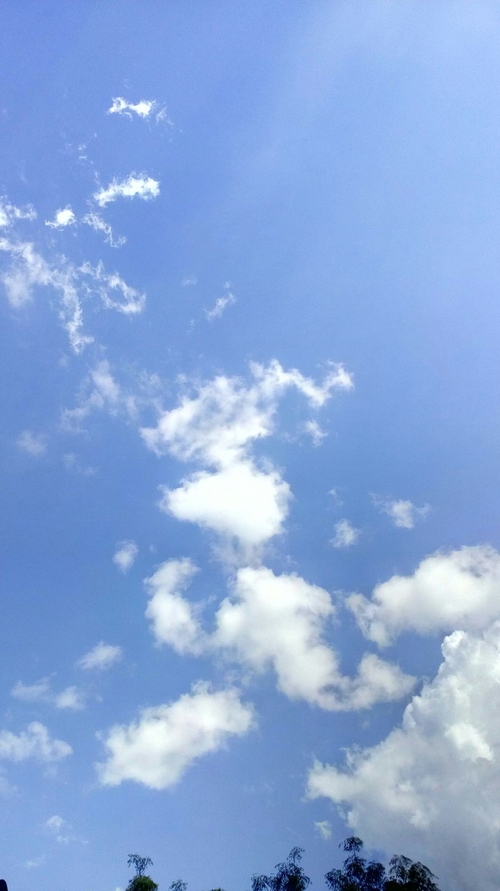 SFL
