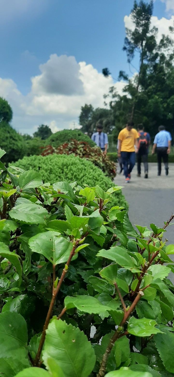 Dehradoon