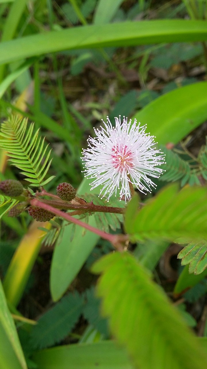 xấu hổ