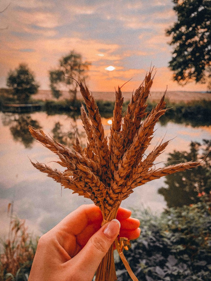 autumn bouquet