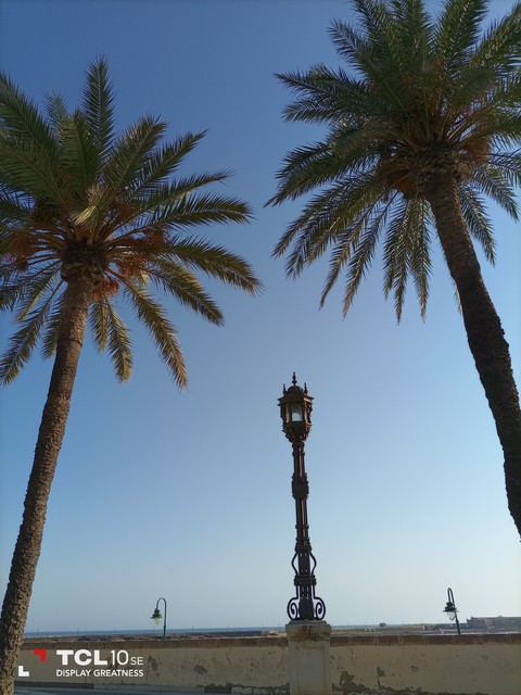 Cielo de Cadiz con Palmeras