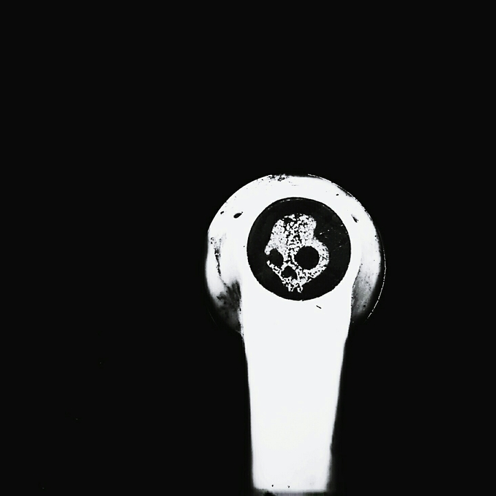 skullcandy 
