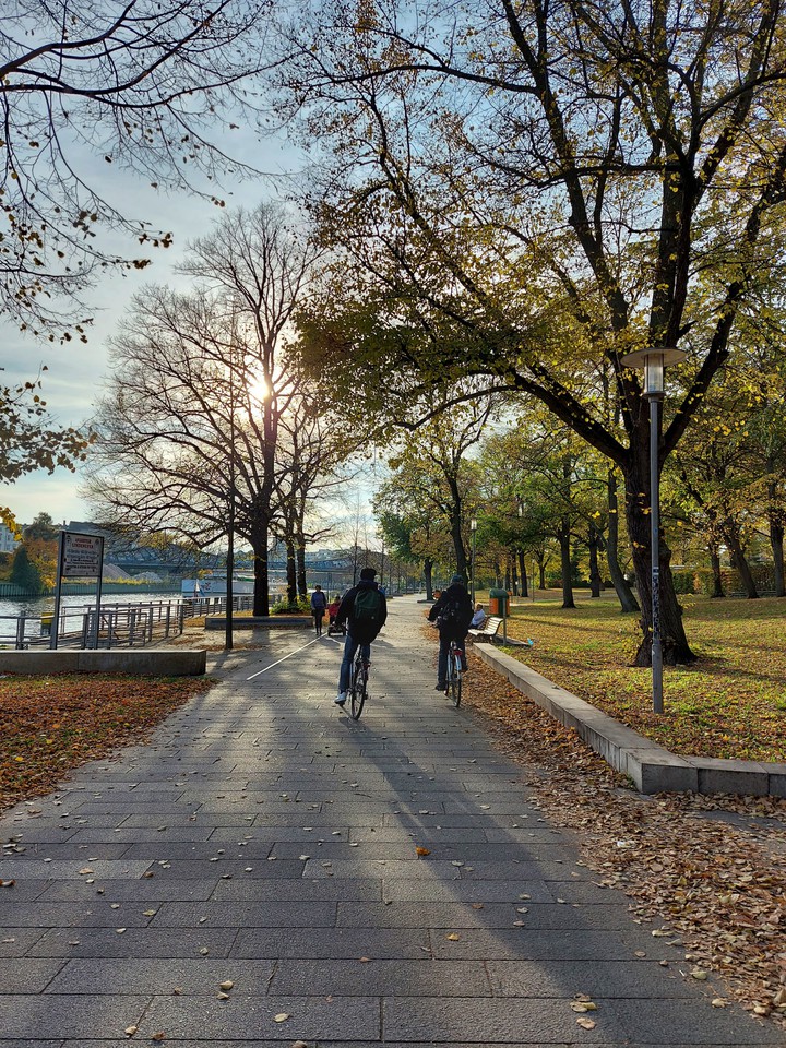Autumn