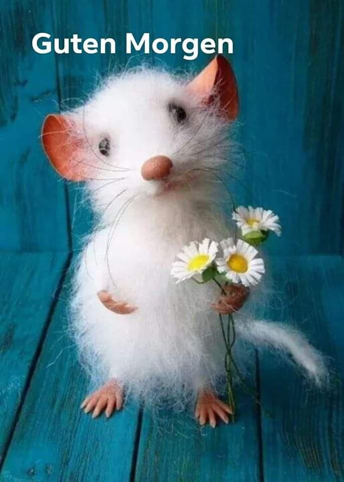 Guten Morgen allen ein sehr schönen tag meine freunde Amicos