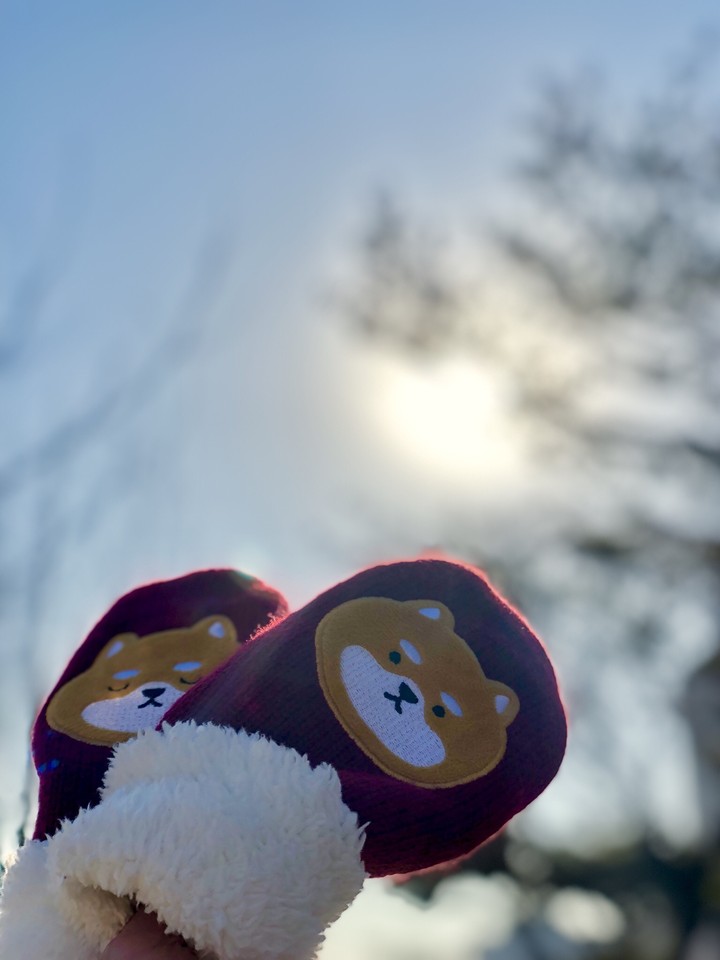 Warm winter