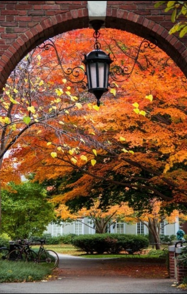 portal al otoño