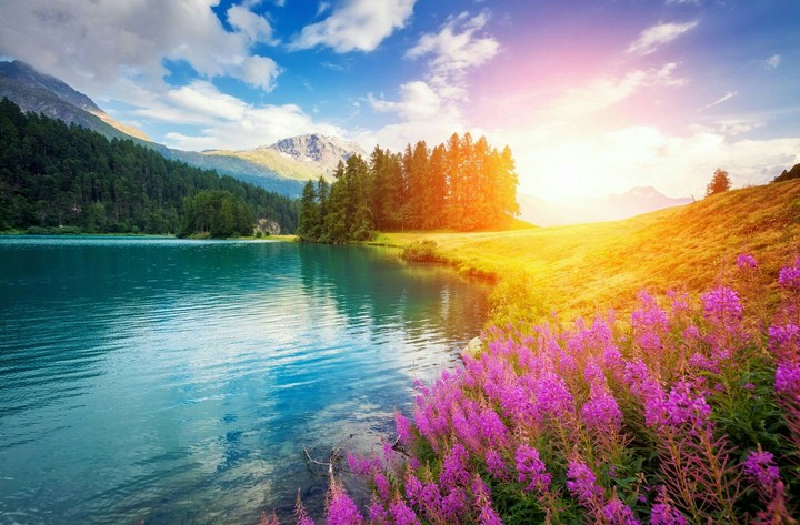 paradis 1