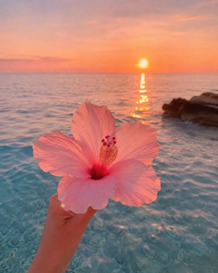 tapety red, sunrise