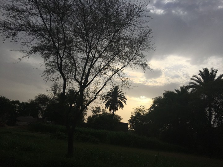 Sun Set