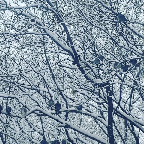 winter