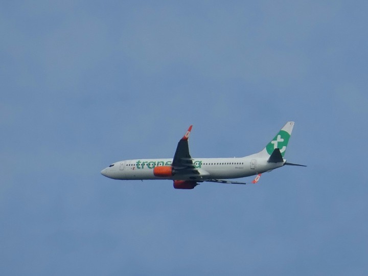 plane in the sky