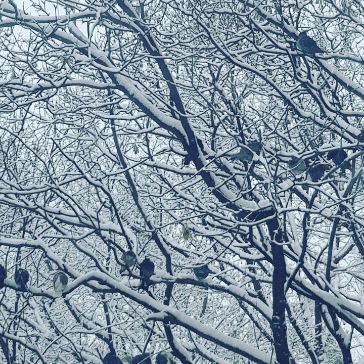 winter