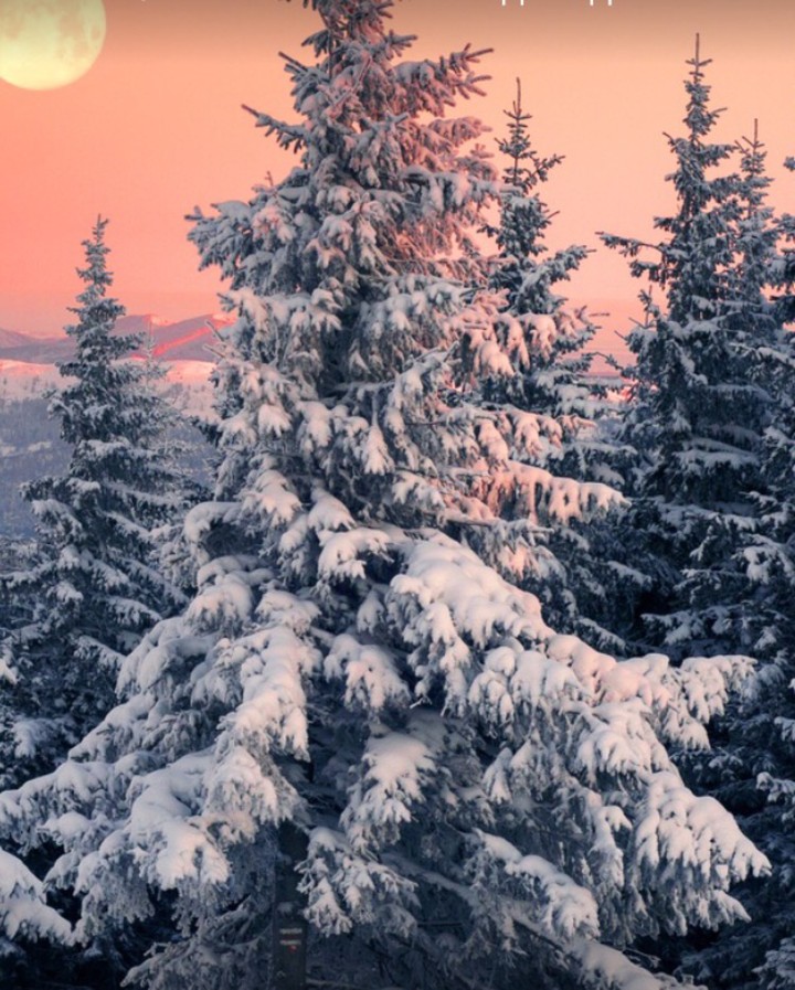 winter sunrise...
