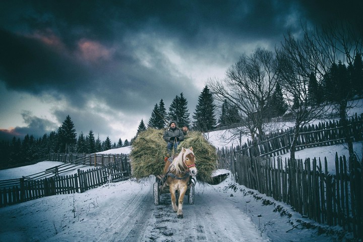 Farmer :-)
