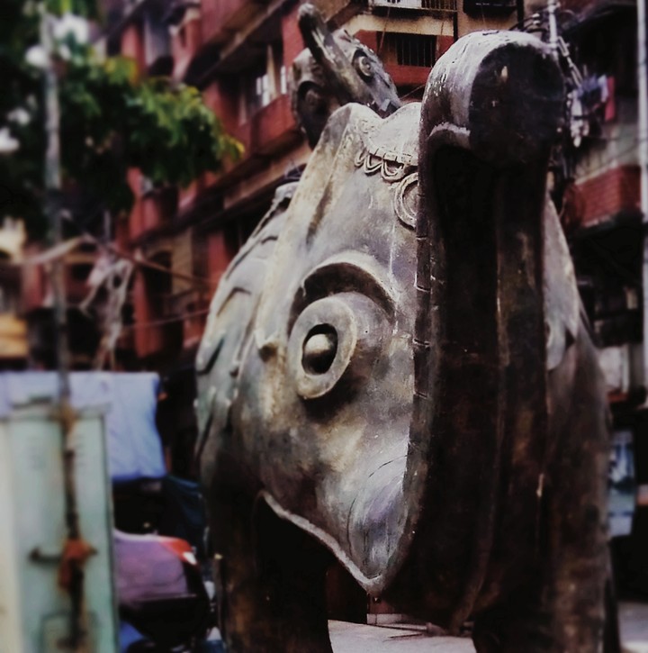 elephant