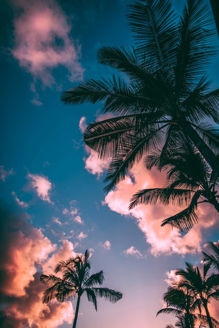 Paradise