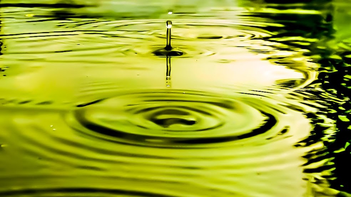 Ripples