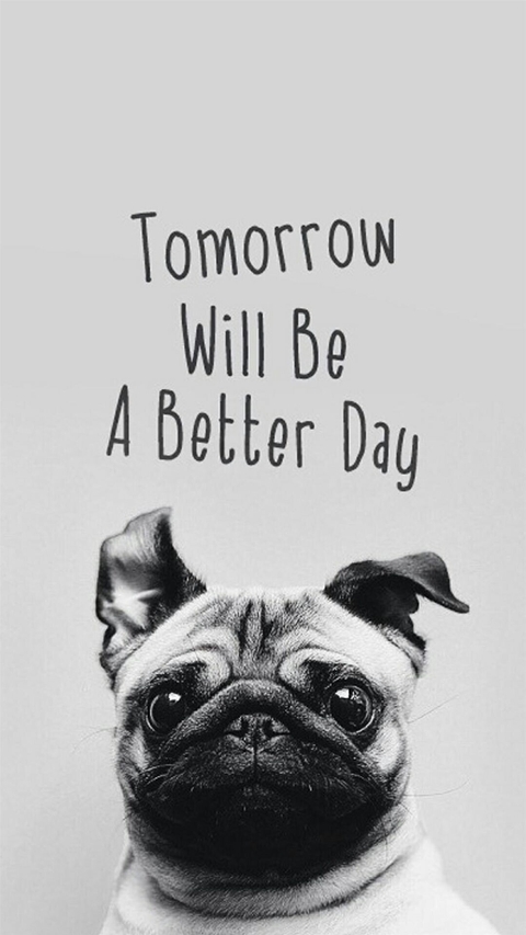 Quotes