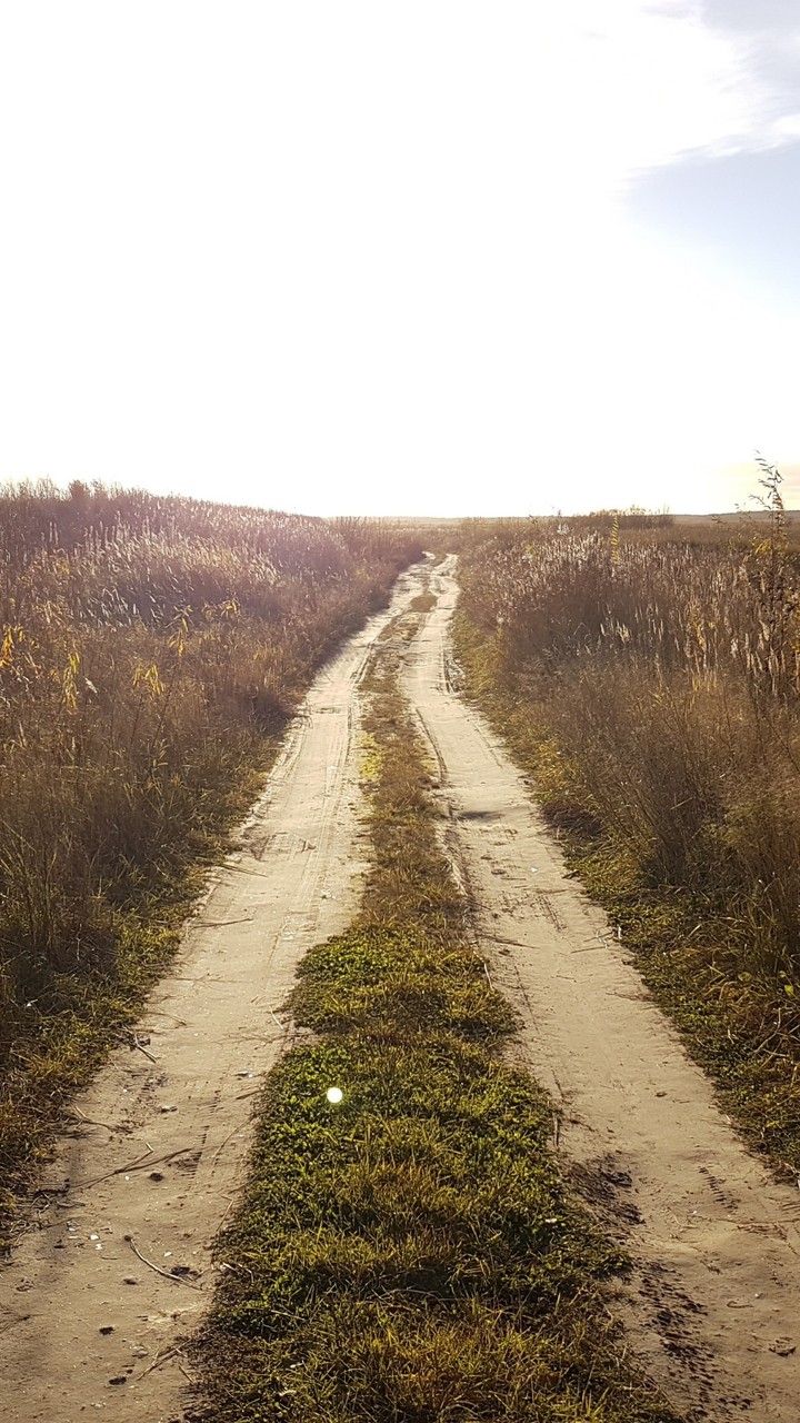 дорога