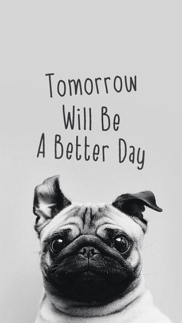 Quotes