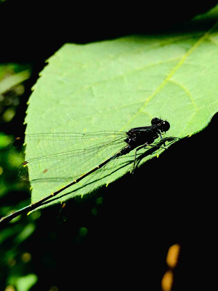 beauty of nature
