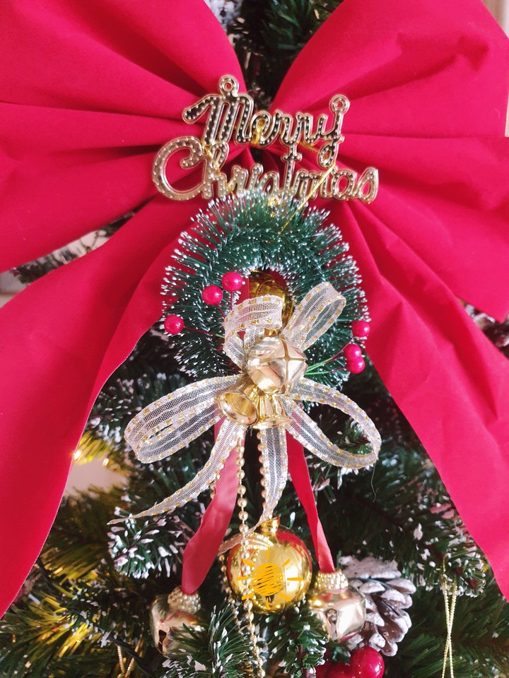 Merry Christmas