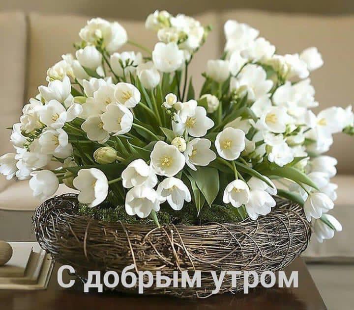 С добрым утром