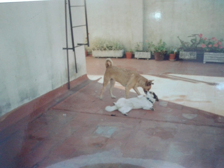 candela and cindy