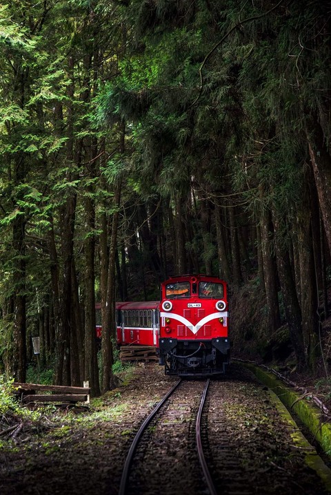 train