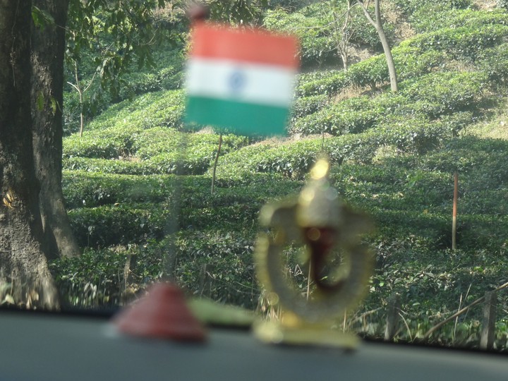 indian