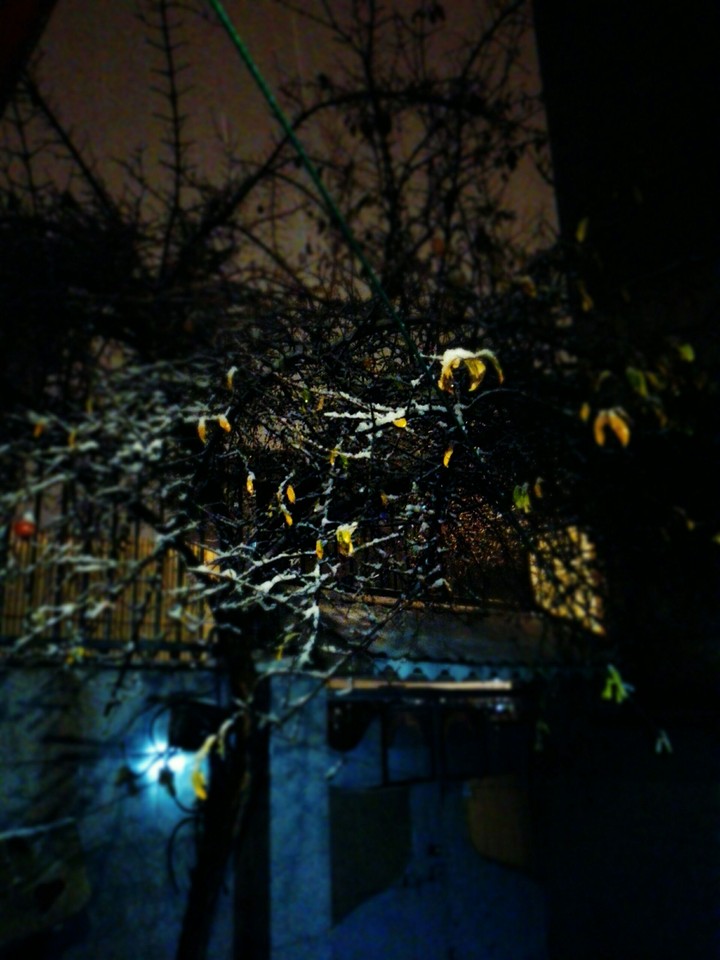 snow