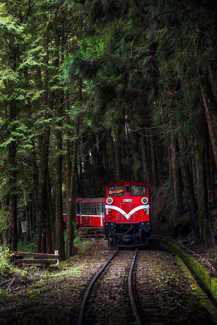 train
