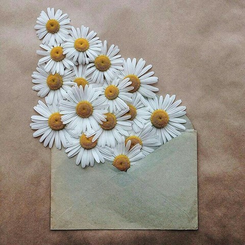 messenger is flower