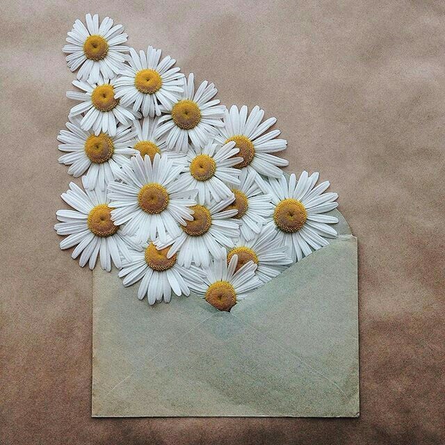messenger is flower