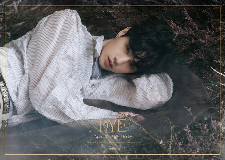 Got7 Dye Album