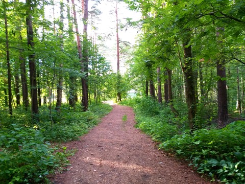 06.07.2019 г.